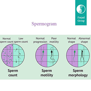 Spermogram